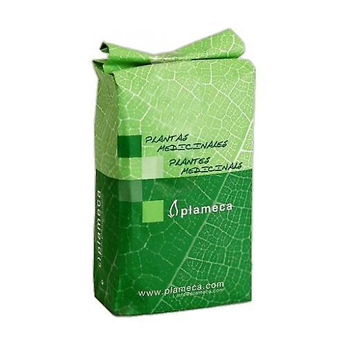 Plameca 100% White Tea 1 kg