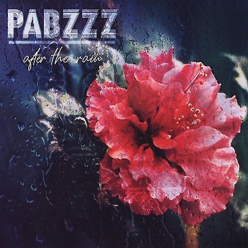 Vinyl Digital Pabzzz - After The Rain  [VINYL LP] USA import