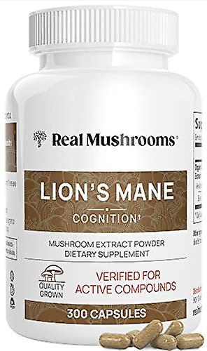 Real mushrooms lion’s mane mushroom extract capsules 300 caps