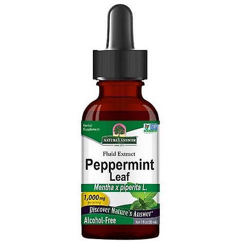 Nature's Answer Peppermint Herb, Alcohol Free Extract 1 FL Oz (Pack of 1)