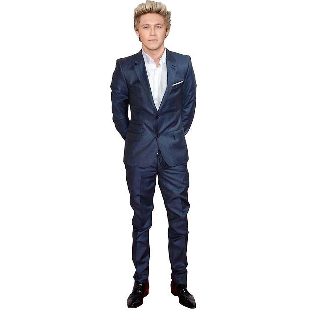 Celebrity Cutouts Niall Horan (2015) Cardboard Cutout (lifesize OR Mini size). Standee. Stand Up. Mini Size Cutout