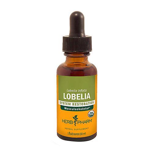 Herb Pharm Lobelia Extract, 1 Oz (Pack of 1)