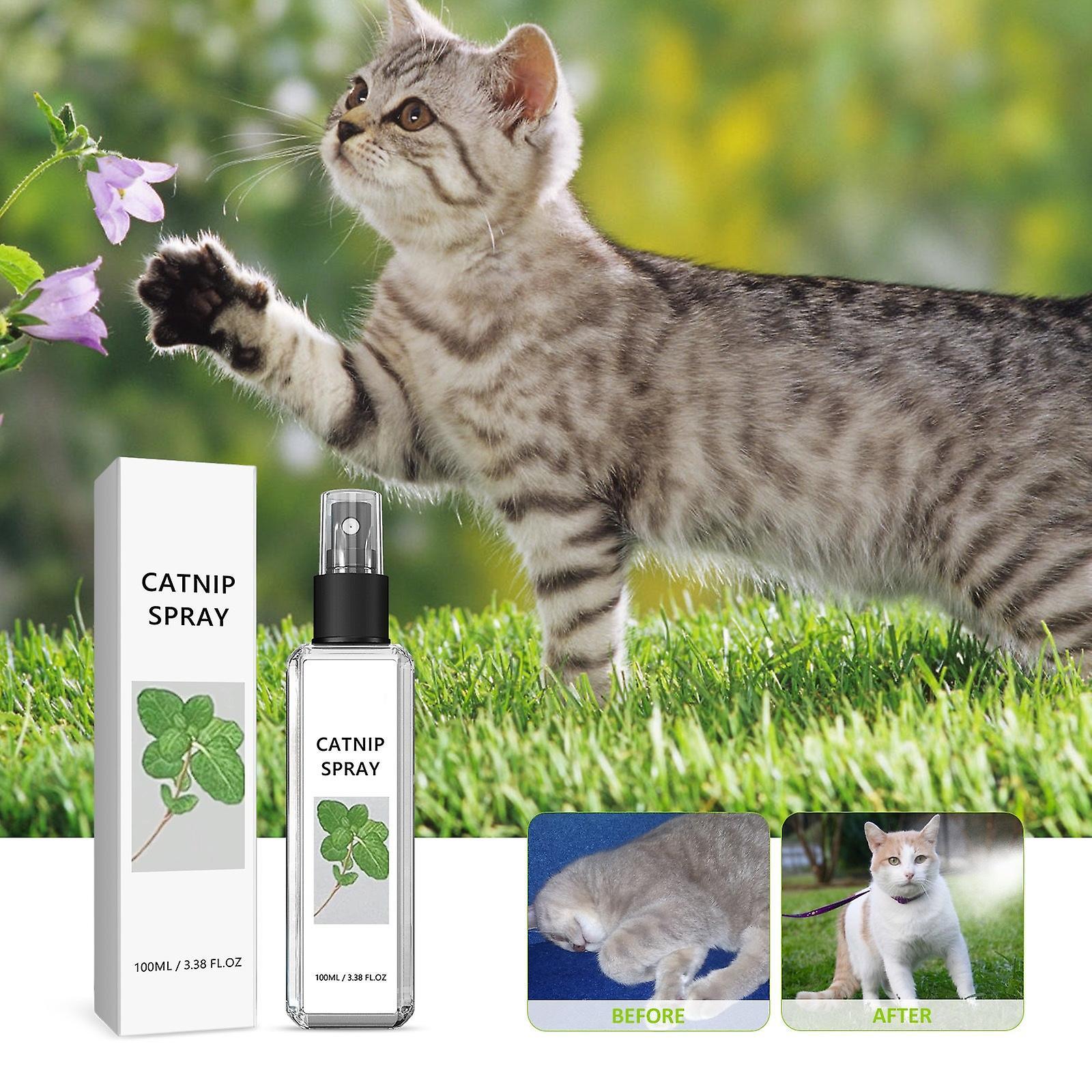 Frusde Herbal Cat Joy, Herbal Cat Joy Spray, Celery Pets Catnip Spray, Celery Pets Herbal Cat Joy, Kitty Joy Spray, Catnip Spray For Cats 1Pcs