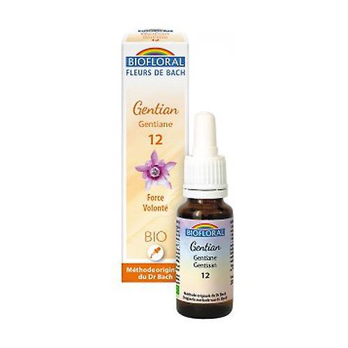 Biofloral Organic gentian 20 ml of floral elixir