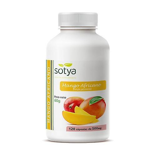 Sotya African Mango 120 capsules of 500mg