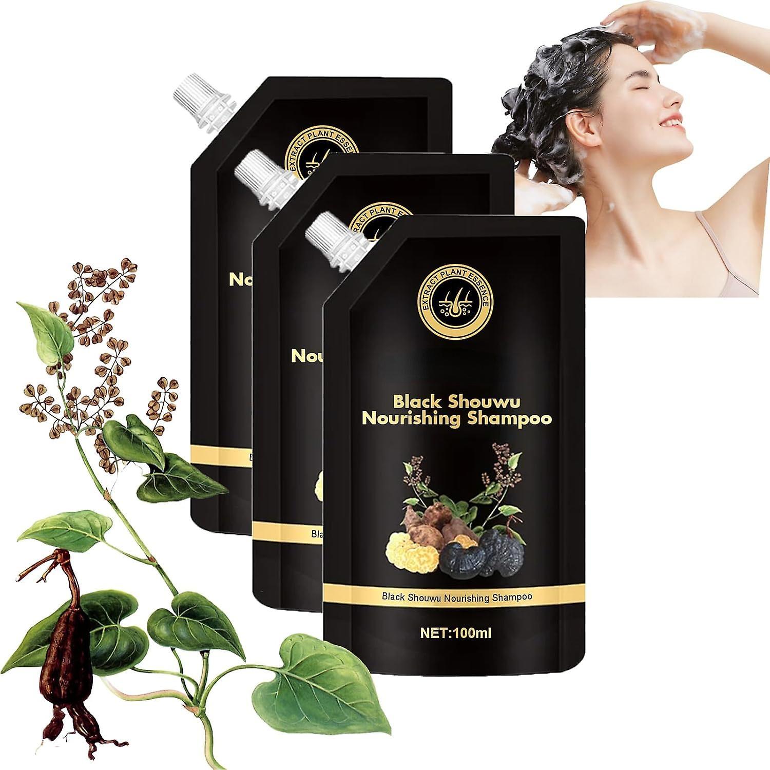 Frusde Black Shouwu Nourishing Shampoo, Black Shouwu Anti-hair Loss Nourishing Shampoo, Black Lingzhi Shampoo, Hair Thickening Shampoo 3pcs