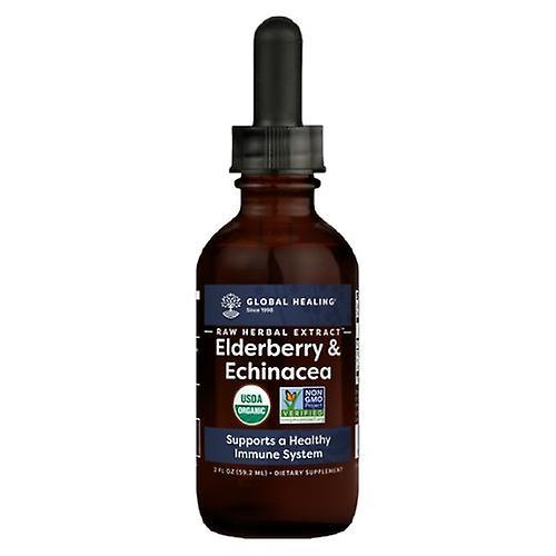 Global Healing Center Elderberry & Echinacea, 2 Oz (Pack of 1)