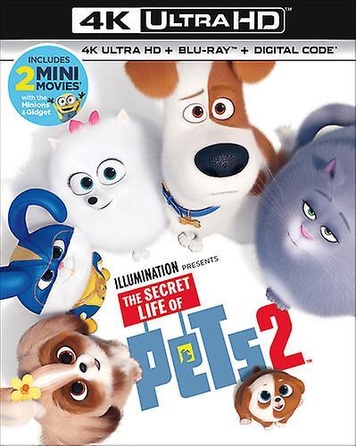 Universal Studios The Secret Life of Pets 2  [ULTRA HD BLU-RAY REGION: A USA] With Blu-Ray, 4K Mastering USA import