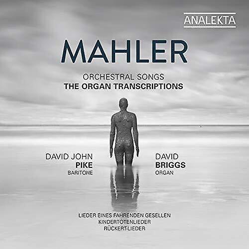 Analekta Mahler / Pike / Briggs - Orchestral Songs  [COMPACT DISCS] USA import