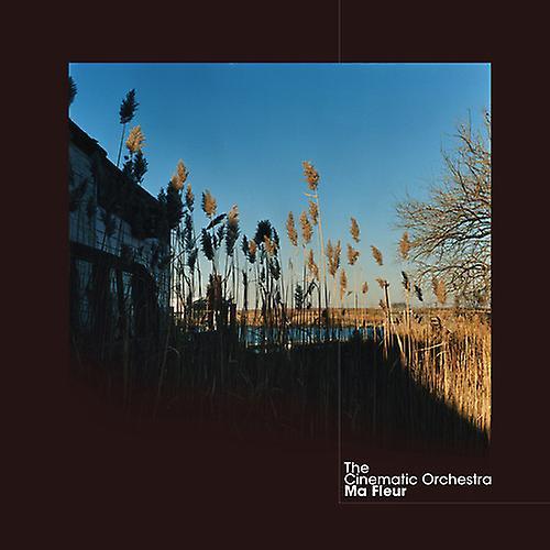 Domino The Cinematic Orchestra - Ma Fleur  [VINYL LP] USA import