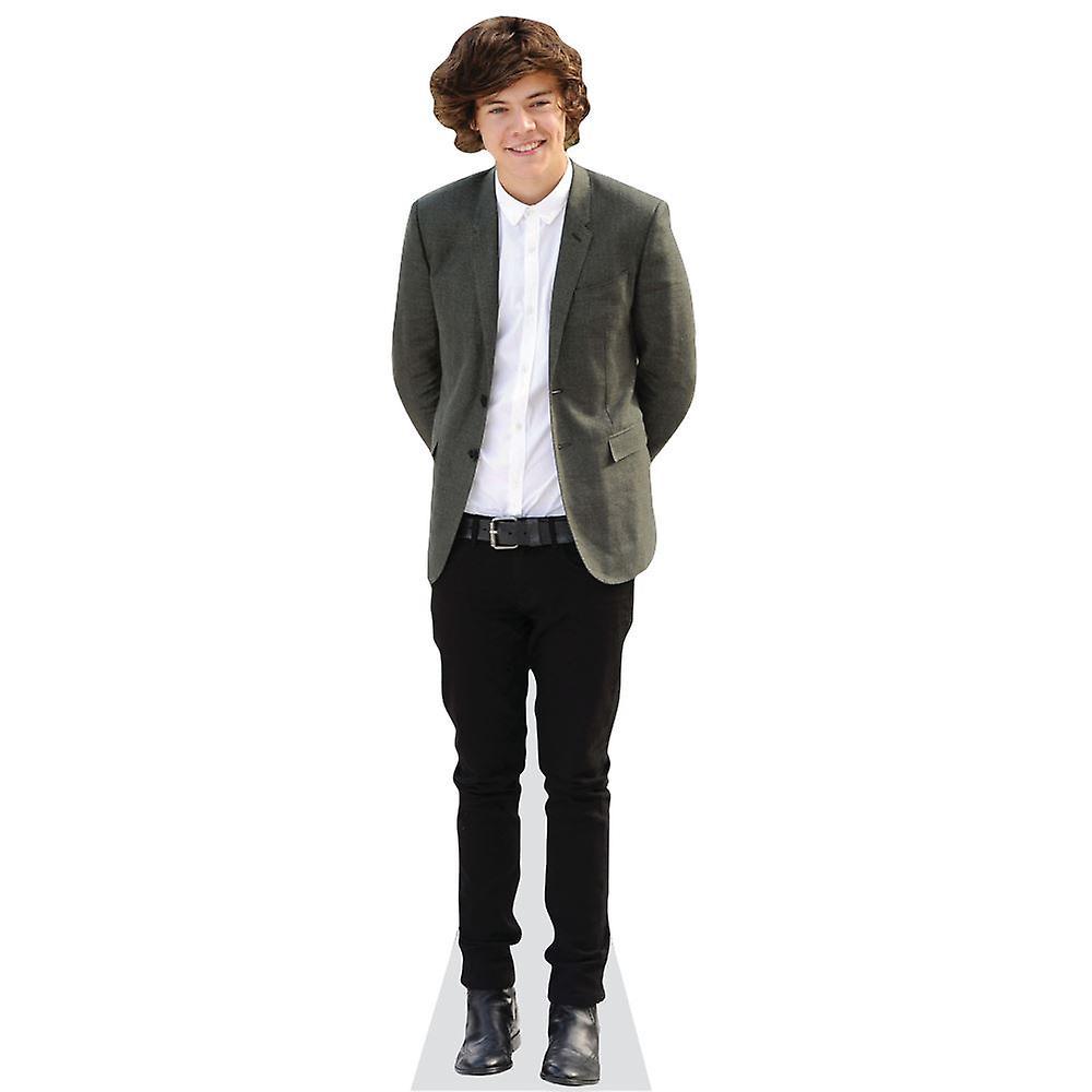 Celebrity Cutouts Harry Styles (Grey Blazer) Cardboard Cutout (lifesize OR mini size). Standee. Stand Up. Life Size Cutout