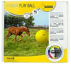 Maximus Power Play Ball 65cm