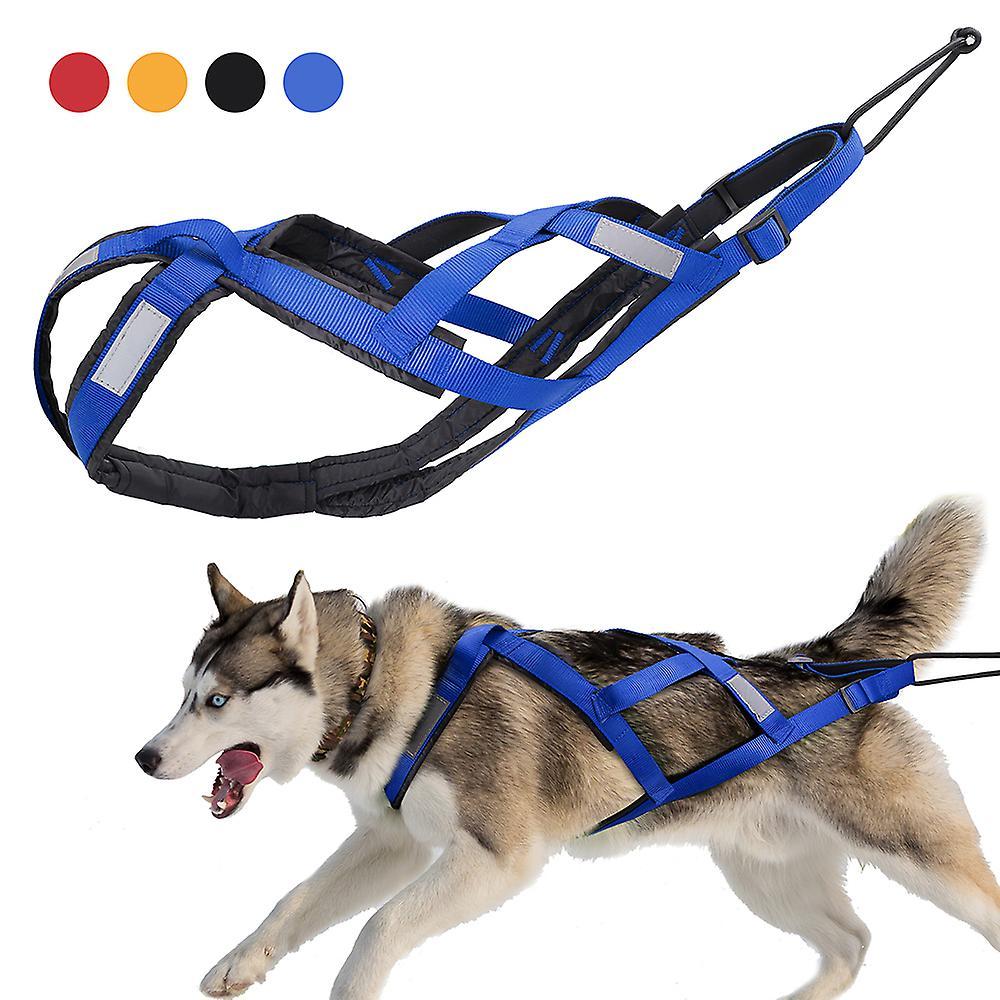 Didog Dog Sledding Weight Pulling Harness Reflective For Pets Training Blue L