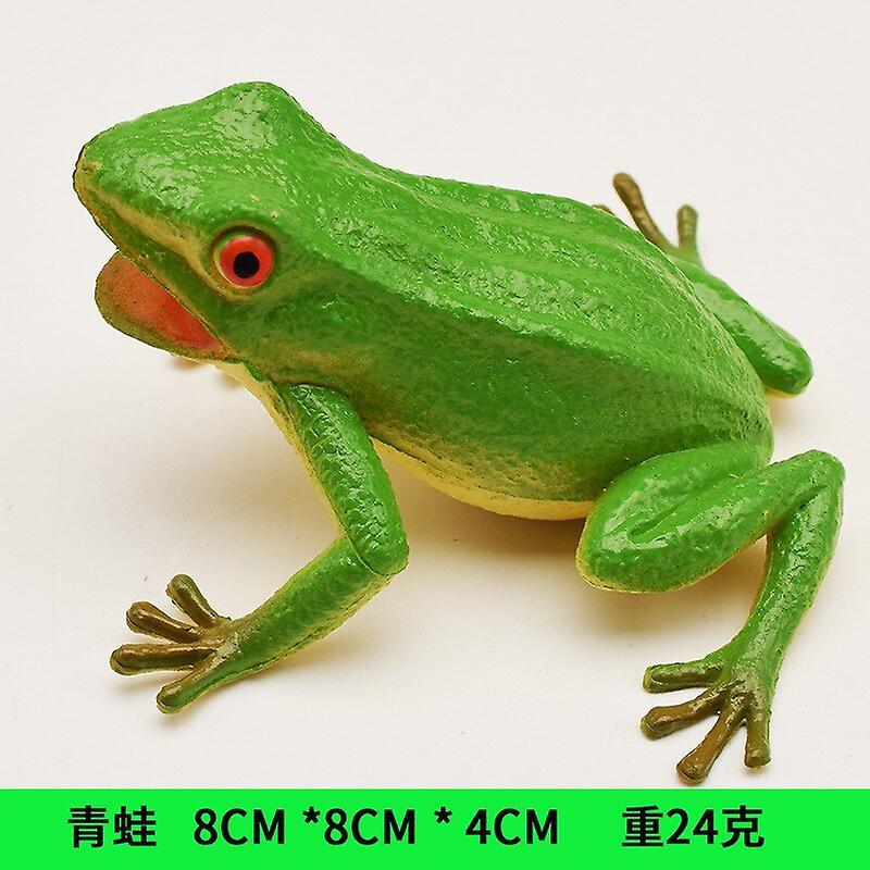 Simulation Frog Model Children's Cognitive Animal Props Toys Tropical Rain Forest Toad Poison Frog Tree Frog Spoof Toy   Dexterity Games 1