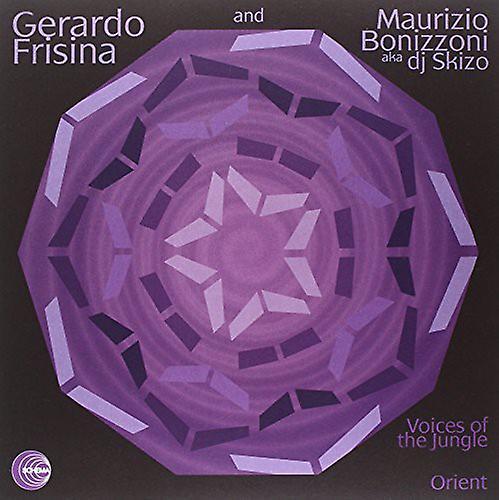 Schema Gerardo Frisina & Maurizio Bonizzoni Aka DJ Skizo - Voices of the Jungle / Orient  [VINYL LP] USA import