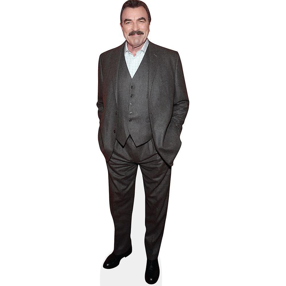 Celebrity Cutouts Tom Selleck (Grey Suit) Cardboard Cutout (lifesize OR mini size). Standee. Stand Up. Mini Cutout