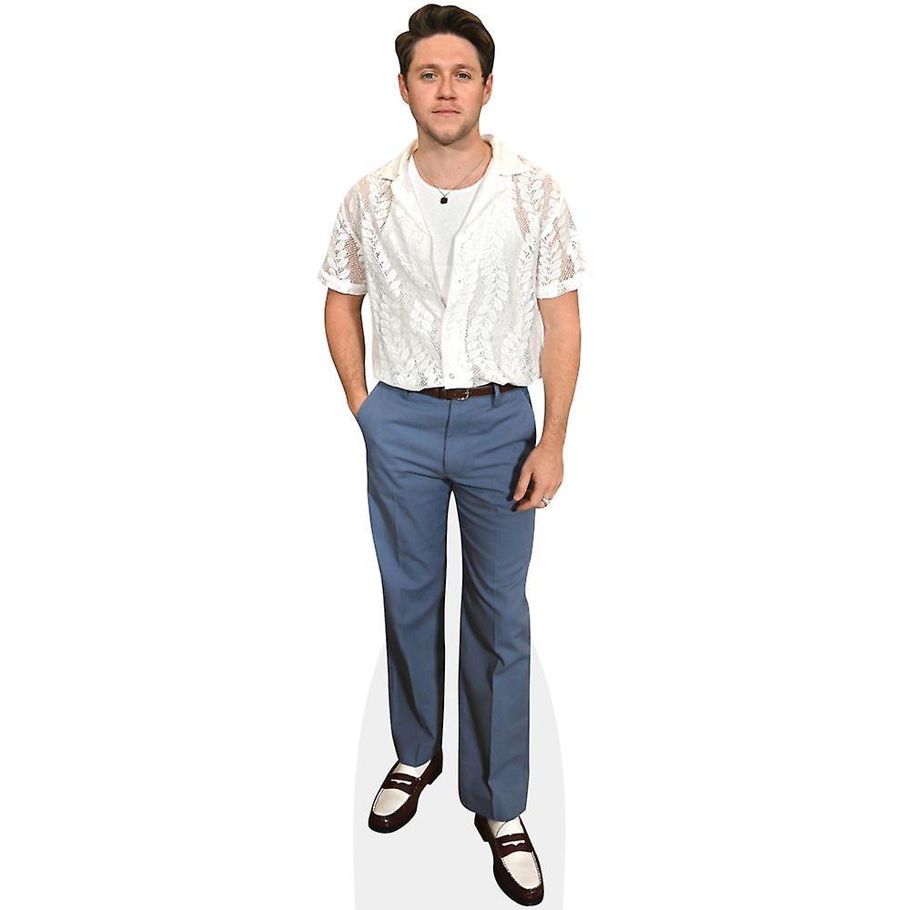 Celebrity Cutouts Niall Horan (White Shirt) Cardboard Cutout (lifesize OR mini size). Standee. Stand Up. Mini Size Cutout