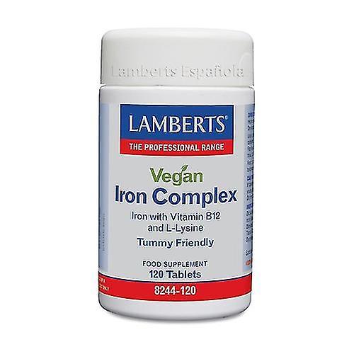 Lamberts Vegan Iron Complex 120 capsules