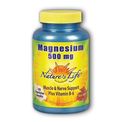 Nature's Life Magnesium,500 Mg ,100 Caps (Pack Of 1)