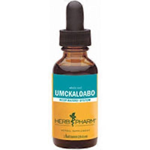 Herb Pharm Umckaloabo, 4 Oz (Pack Of 1)