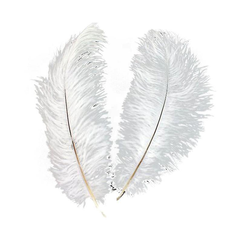 Allinless 20pcs Ostrich Feathers