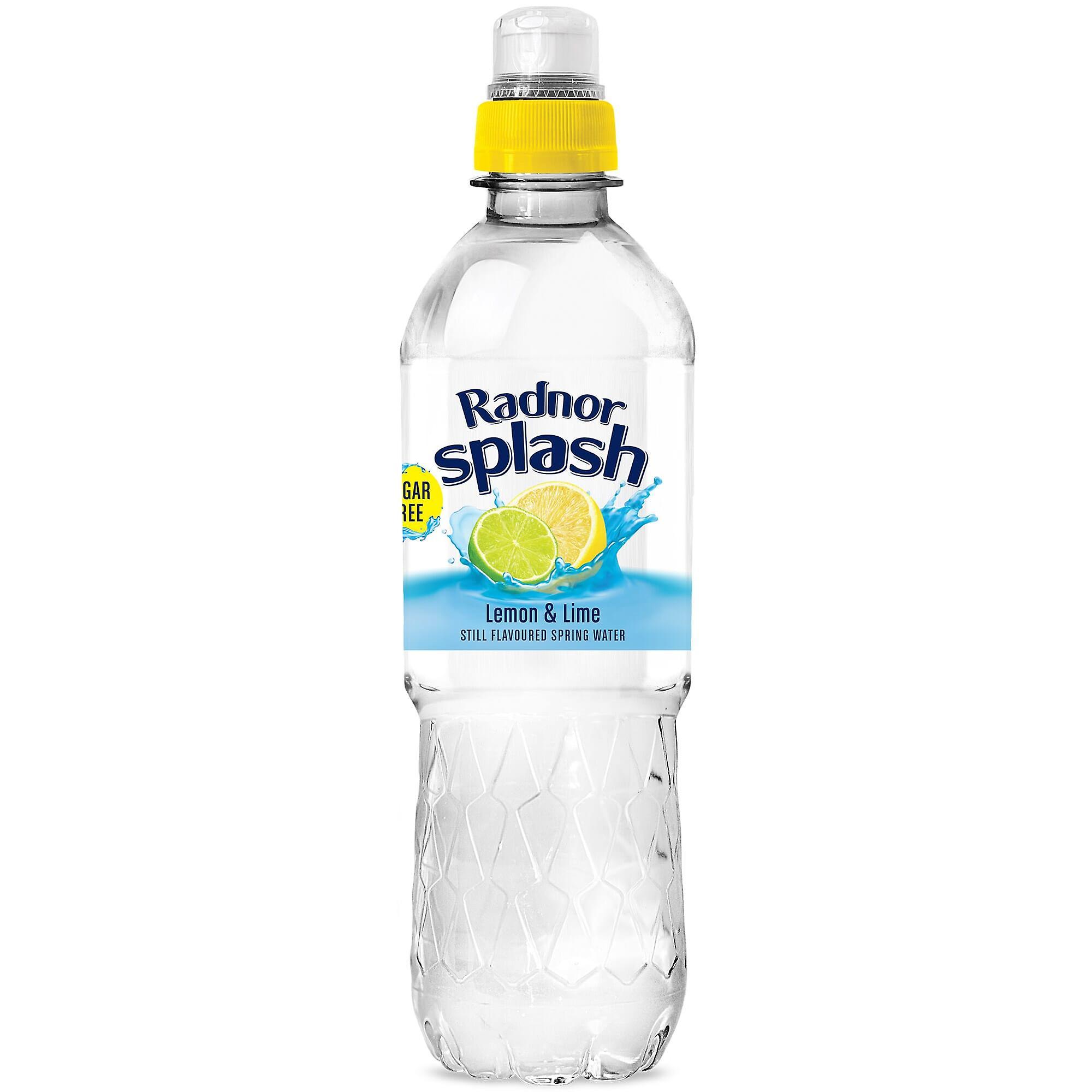 Radnor Hills Radnor Splash Lemon and Lime Flavoured Water