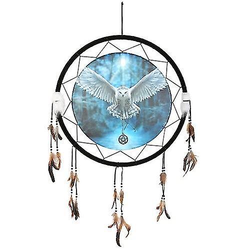 Anne Stokes Awaken Your Magic Dreamcatcher Multicoloured One Size