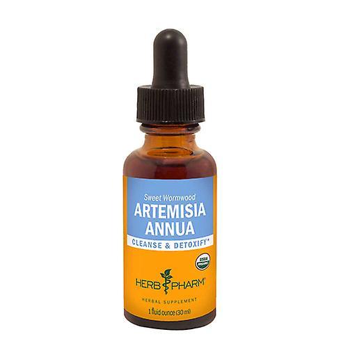 Herb Pharm Artemisia Annua Extract, 1 Oz (Pack of 1)