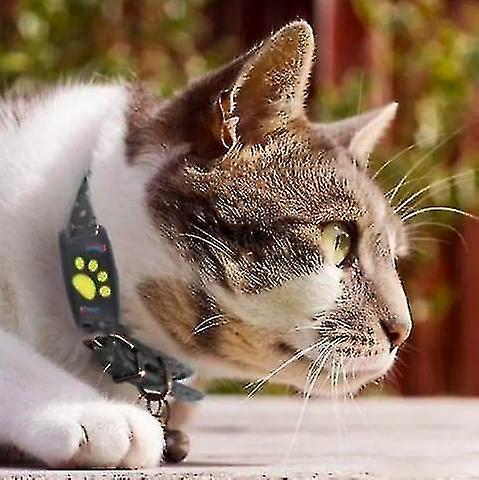 Elsavct Smart Gps Cat And Dog Collar Tracker Yellow