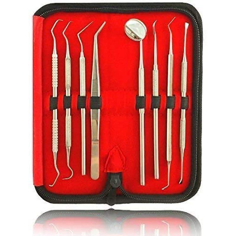 Wuhing-sj-8er Zahnsteinentferner Zahnpflege Set Dental Set Dental/zahnarzt Instru