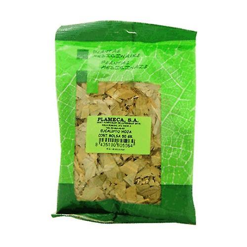 Plameca Eucalyptus Herb Large Cut Leaf 50 g