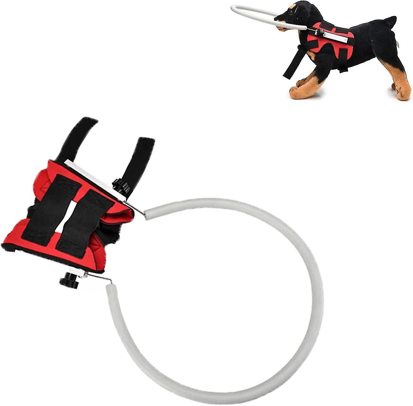 Tianzun Blind Dog Harness Vest, Blind Dog Anti Collision Ring, Blind Dog Halo, Adjustable Protect Sick Eyes Dogs Collision Red M