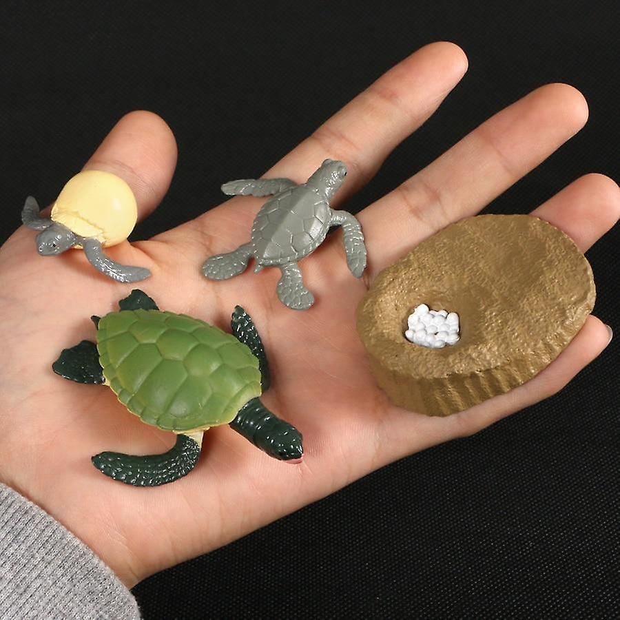 Slowmoose Animals Growth Cycle Life Model - Simulation Action Figures For Teaching Sea turtle 4pcs set