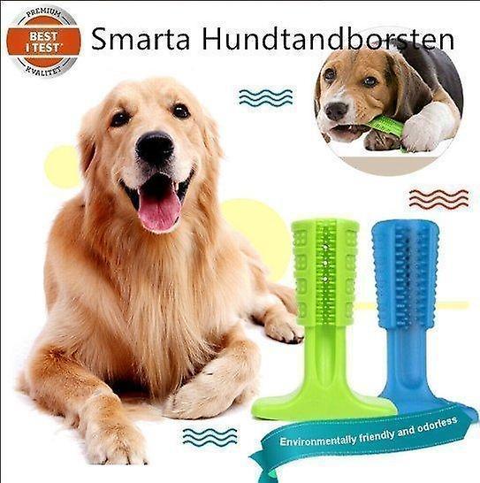 Best Trade Doggy Stick - the Smart Toothbrush for Dog- Green