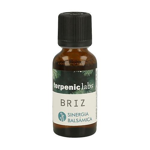 Terpenic Respiratory Synergy Briz 30 ml of oil (Eucalyptus - Mint - Lavender)