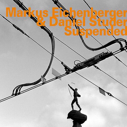 Hathut Records Markus Eichenberger - Suspended  [COMPACT DISCS] USA import