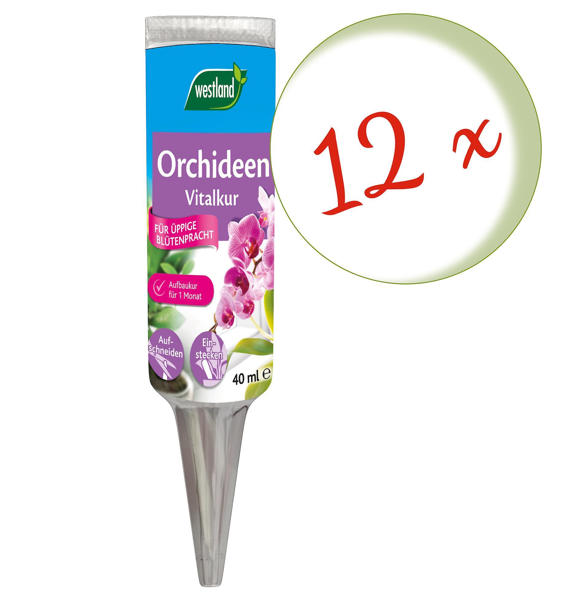 12 x WESTLAND® Orchid Vitality, 40 ml