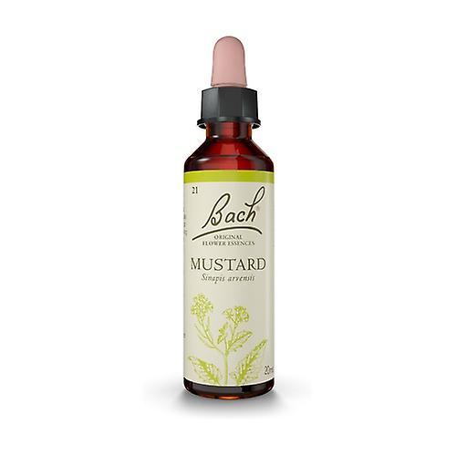 Flower Essence Bach Mustard