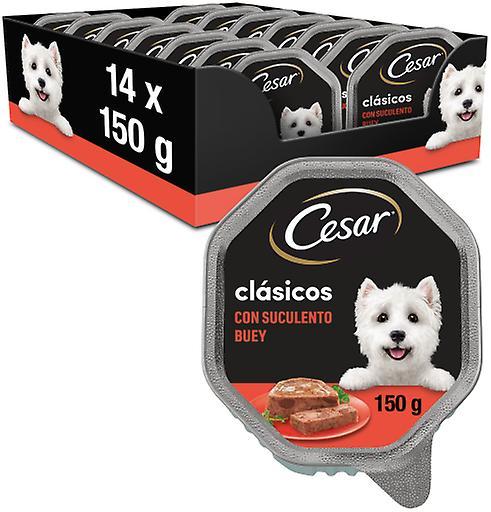 Cesar Wet Food for Dogs Ox Flavor In Paté Tub (Dogs , Dog Food , Wet Food) 150 GR