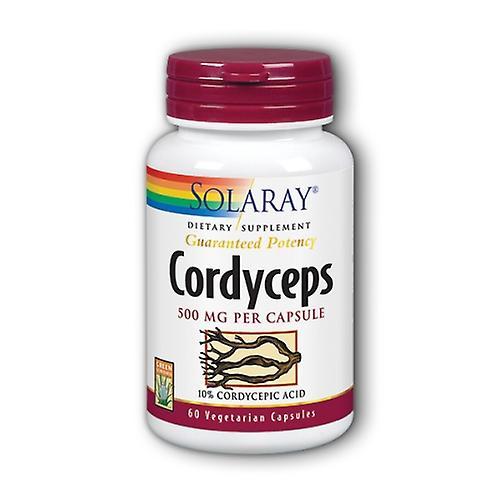 Solaray Cordyceps, 500 mg, 60 Caps (Pack of 1)