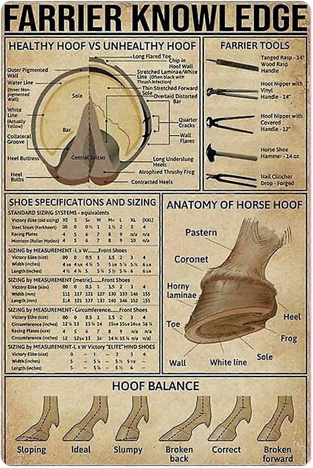 LINCMAN Farrier Knowledge Metal Tin Sign Anatomy of Horse Hoof Poster Infographic for School Education Farm Home Kitchen Club Wall Decoration Plaqu...