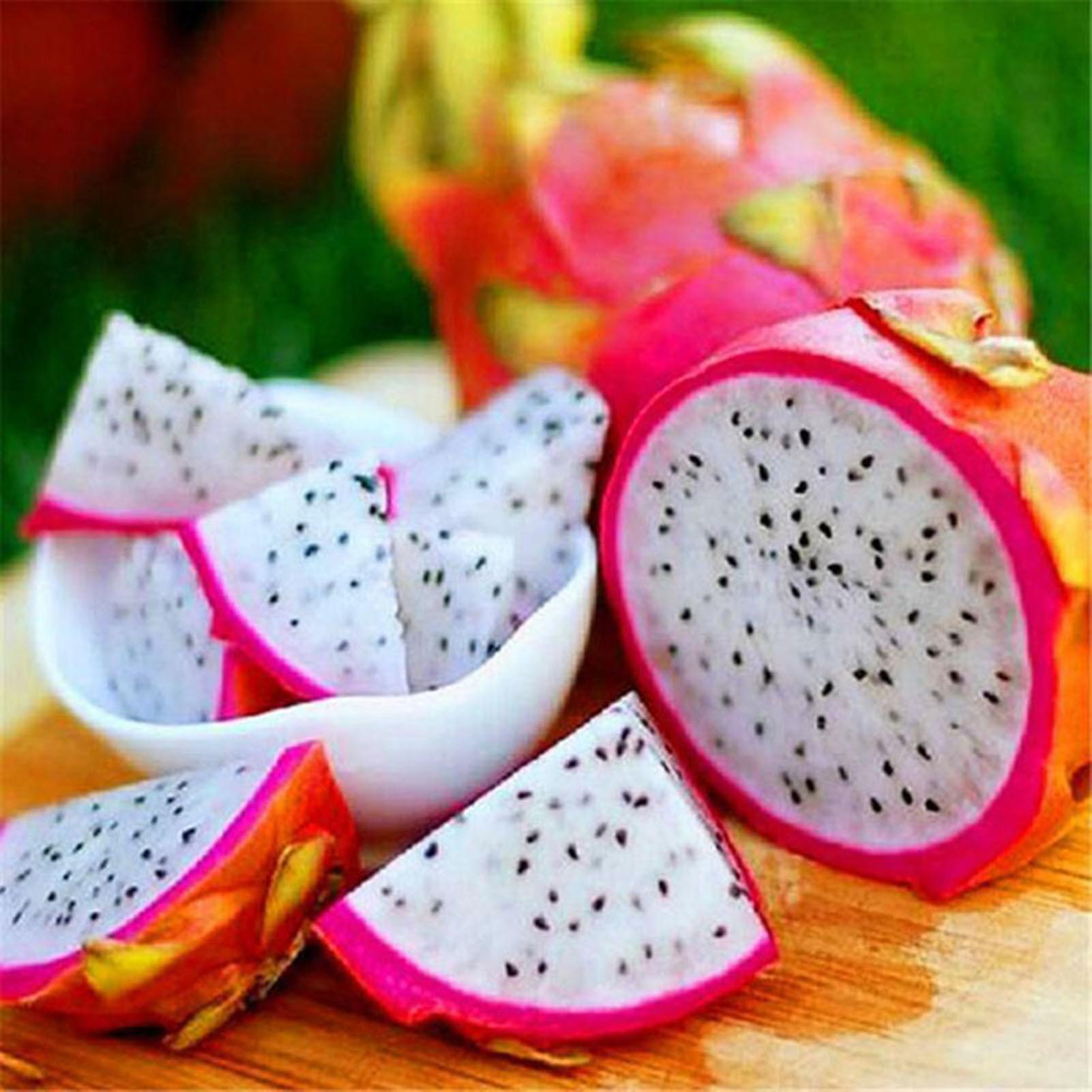 SIJIALI 1 Bag Pitaya Seed Rustic Succulent 3 Colors Aesthetic Plant Seed for Yard White Pitaya Seeds