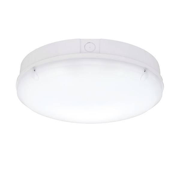 Saxby Lighting Forca Cct Integrated LED Outdoor & Step Dimming Flush Light Gloss White, Opal IP65