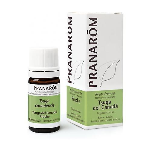 Pranarom hemlock essential oil in branches 5 ml of essential oil