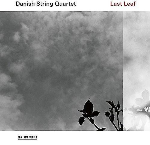 Ecm Records Danish String Quartet - Last Leaf  [COMPACT DISCS] USA import