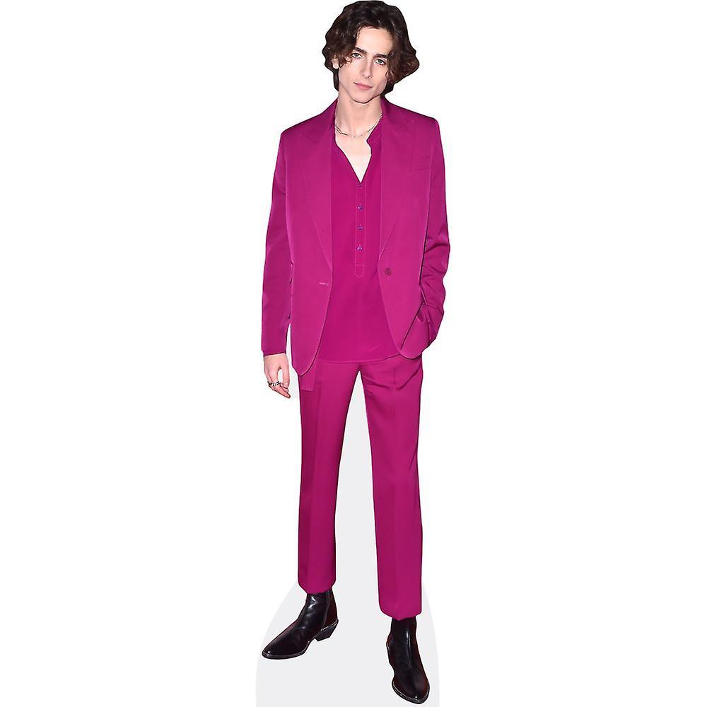 Celebrity Cutouts Timothee Chalamet (Purple Suit) Cardboard Cutout (lifesize OR mini size). Standee. Stand Up. Life Size Cutout