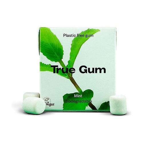 True Gum Mint flavor gum 21 g (Mint)