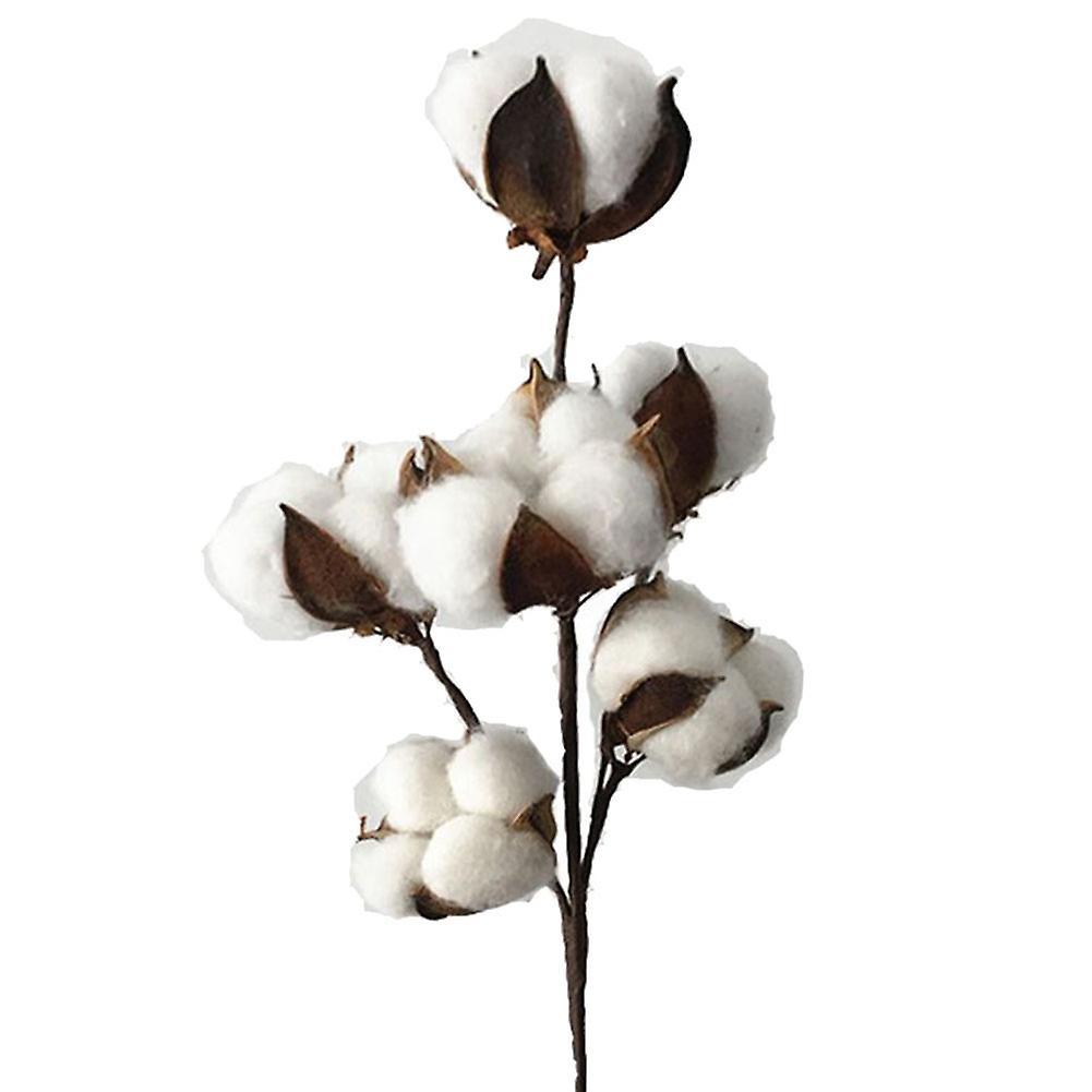 Reheyre 1Pc Dried Fake Cotton Flower Artificial Plant Floral Branch Party Home Decor 1