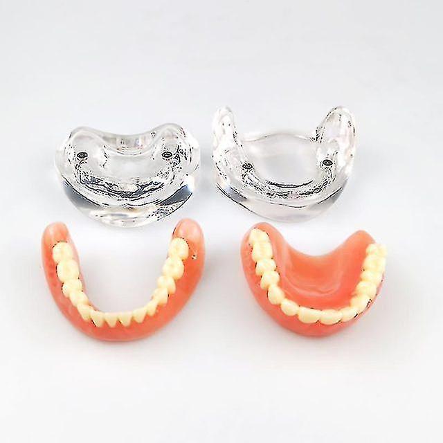 Dental Teang Denture Dental Teeth Teeth *chyi Transparent  base