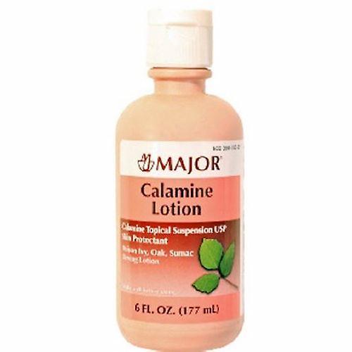 Major Pharmaceuticals Itch Relief Major Calamine 8% Strength Lotion 177 mL Bottle, Count of 1 (Pack of 1)